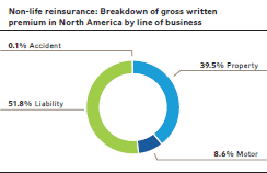 Non-life reinsurance: Breakdown of gross written premium in North America by line of business (pie chart)