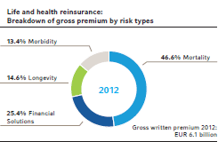 Life and health reinsurance: Breakdown of gross premium by risk types (pie chart)
