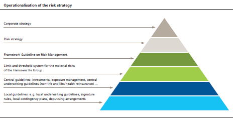 Operationalisation of the risk strategy