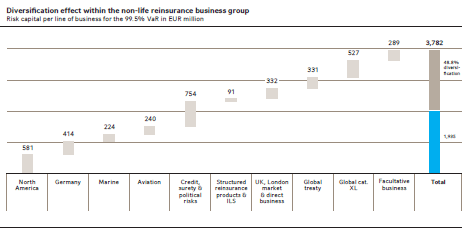 Diversification effect within the non-life reinsurance business group (bar chart)