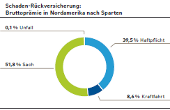 Schaden-Rückversicherung: Bruttoprämie in Deutschland nach Sparten (Kreisdiagramm)