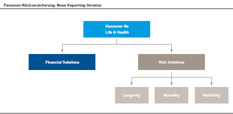 Personen-Rückversicherung: Neue Reporting-Struktur (Diagramm)