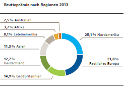 Schaden-Rückversicherung: Bruttoprämie nach Regionen 2013