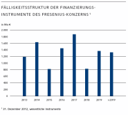 Fälligkeitsstruktur der Finanzierungsinstrumente des Fresenius-Konzerns