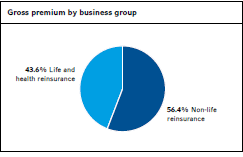 Gross premium by business group (pie chart)