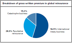 Breakdown of gross written premium in global reinsurance (pie chart)