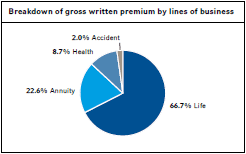 Breakdown of gross written premium by lines of business (pie chart)