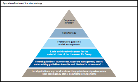 Operationalisation of the risk strategy