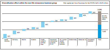 Diversification effect within the non-life reinsurance business group