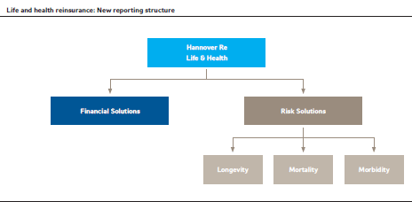Life and health reinsurance: New reporting structure (diagramm)