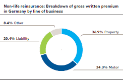 Non-life reinsurance: Breakdown of gross written premium
in Germany by line of business