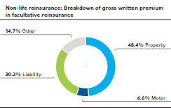 Non-life reinsurance: Breakdown of gross written premium in facultative reinsurance