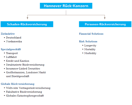 Strategische Geschäftsfelder des Hannover Rück-Konzerns (Diagramm)